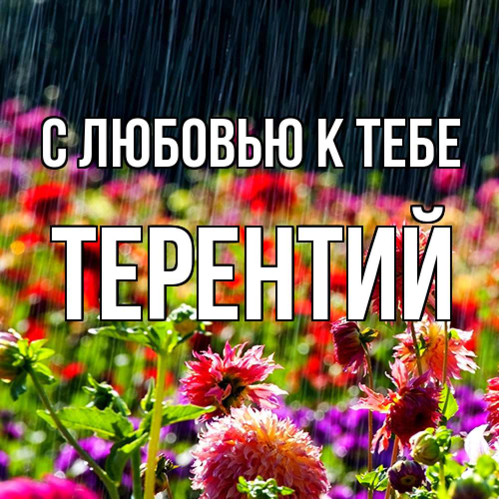 Открытка  с именем. Терентий, С любовью к тебе  