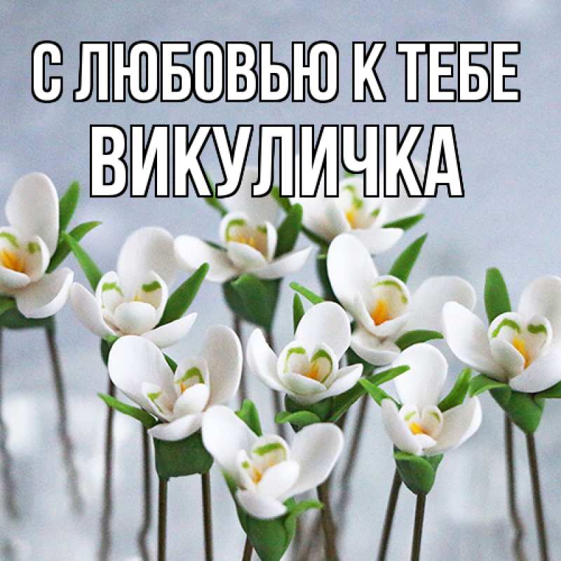 Картинка С любовью к тебе, Викуличка