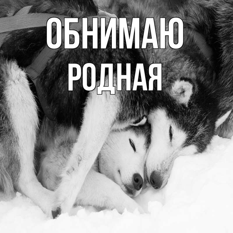 Картинка Обнимаю, Родная