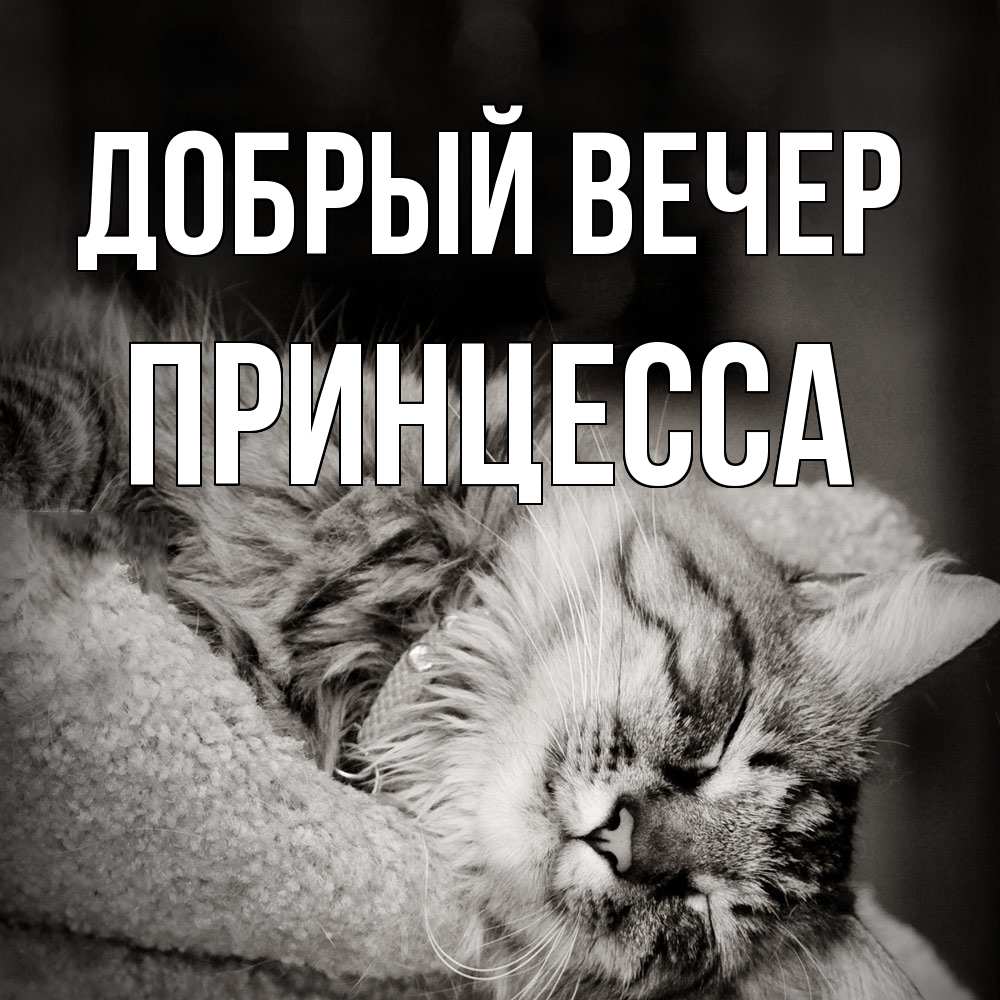 Открытка  с именем. Принцесса, Добрый вечер  