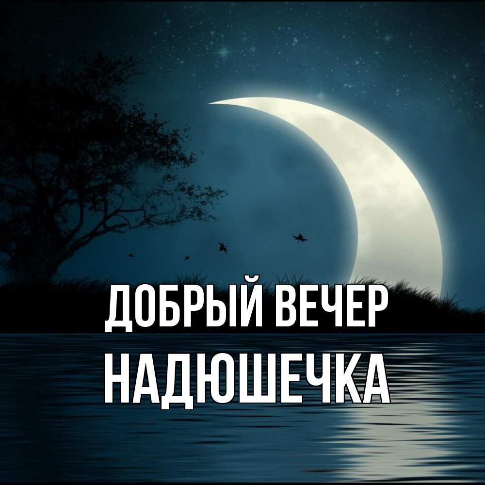 Открытка  с именем. Надюшечка, Добрый вечер  