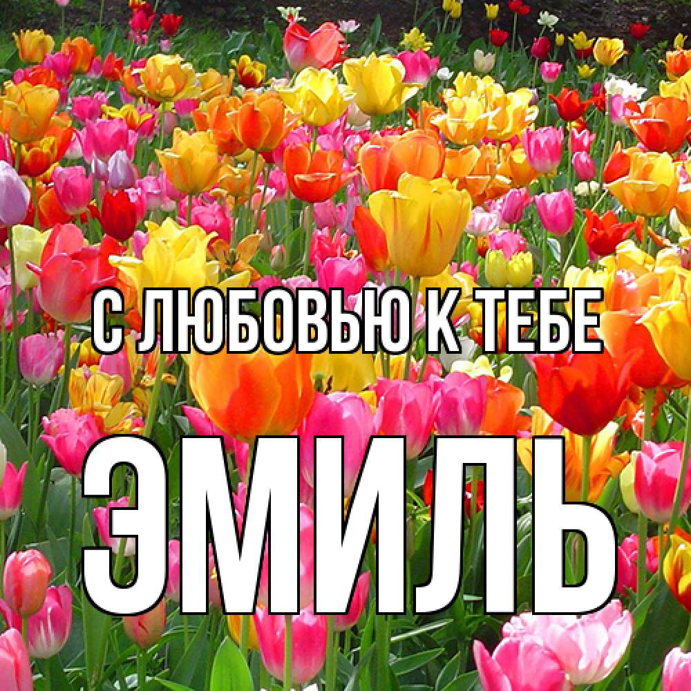 Открытка  с именем. Эмиль, С любовью к тебе  
