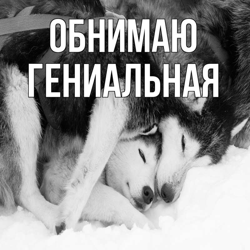Картинка Обнимаю, Гениальная