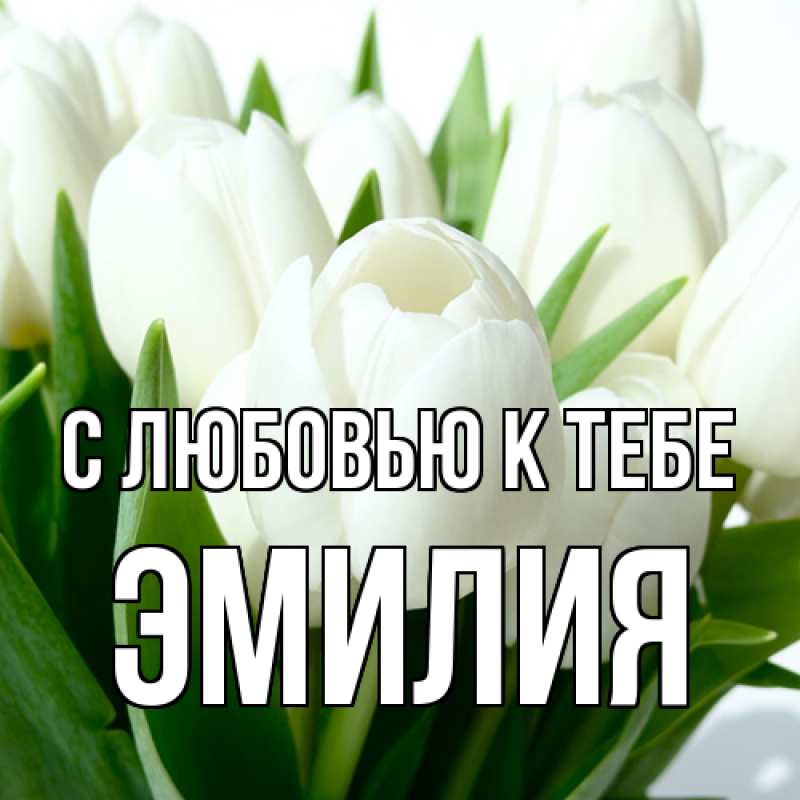 Картинка С любовью к тебе, Эмилия