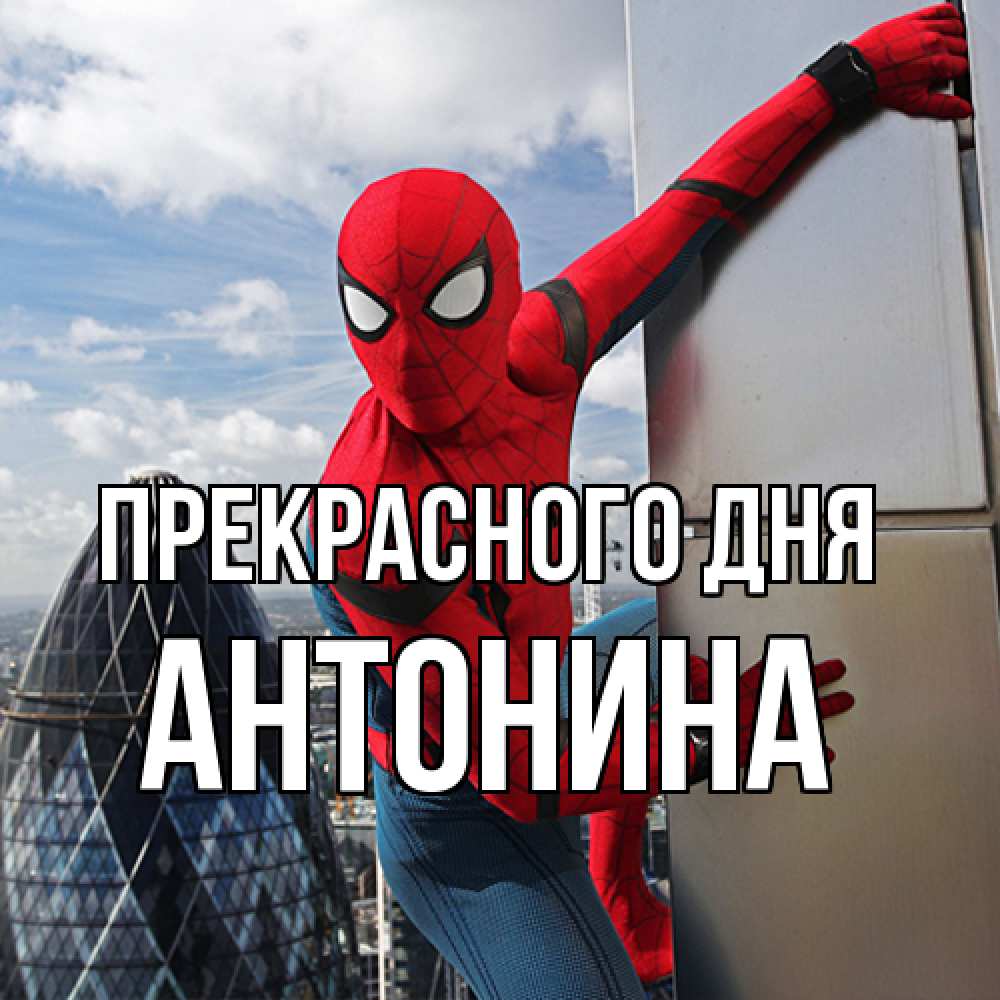 Открытка  с именем. Антонина, Прекрасного дня  