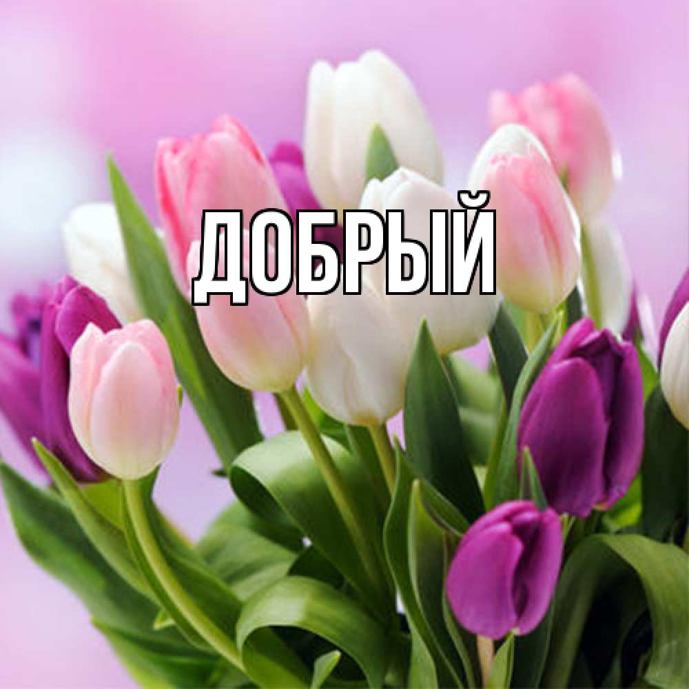 Открытка  с именем. Добрый, Главная  