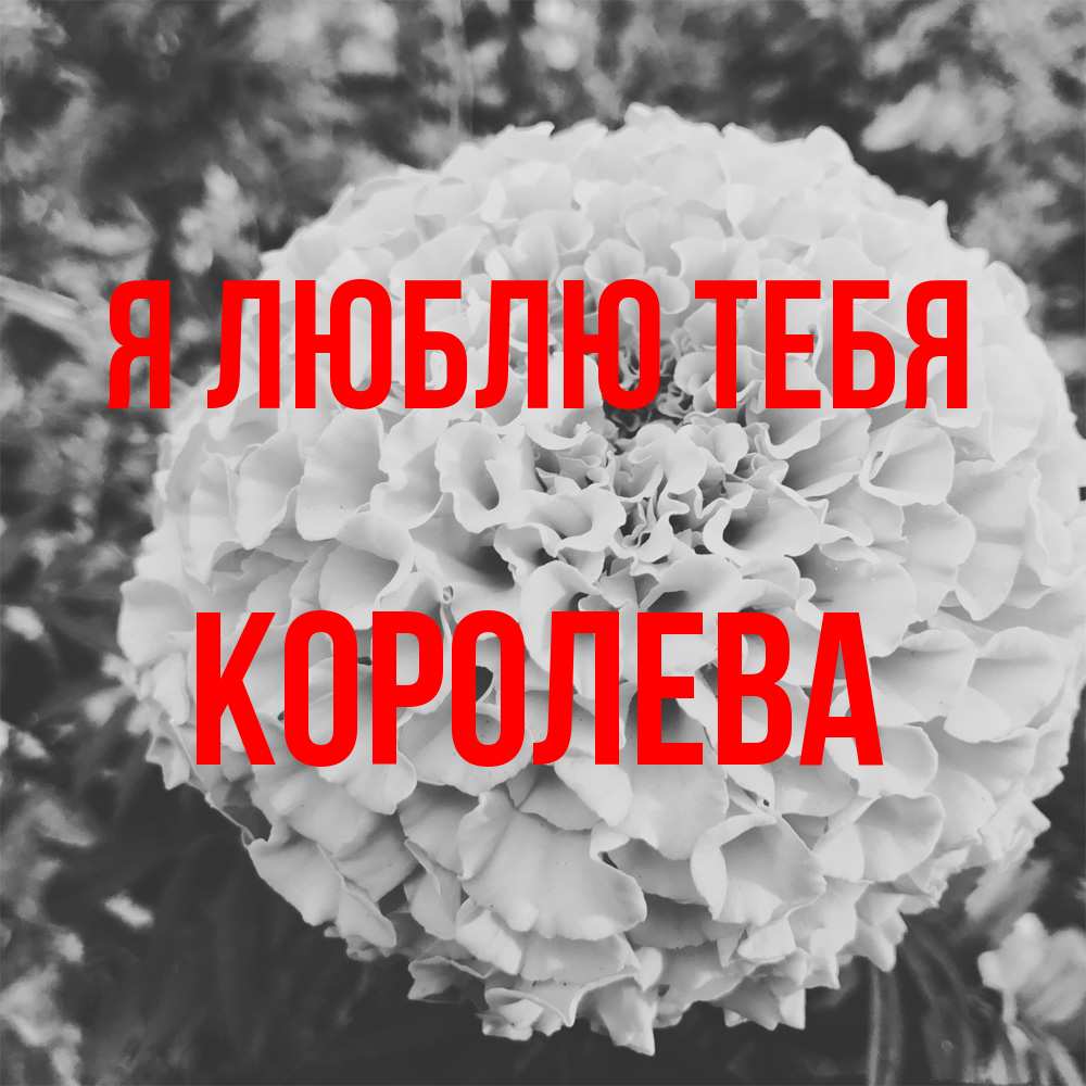 Открытка  с именем. Королева, Я люблю тебя  
