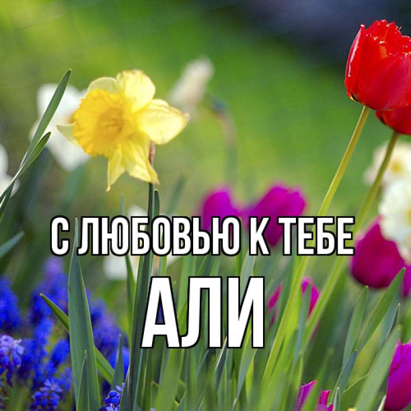 Картинка С любовью к тебе, Али