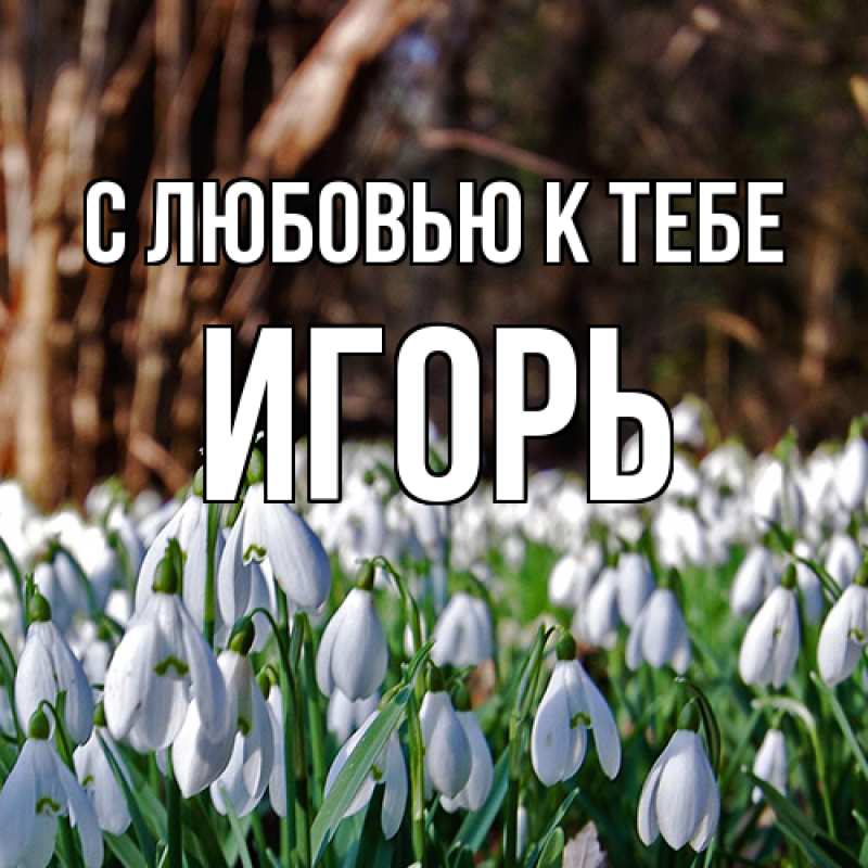 Картинка С любовью к тебе, Игорь