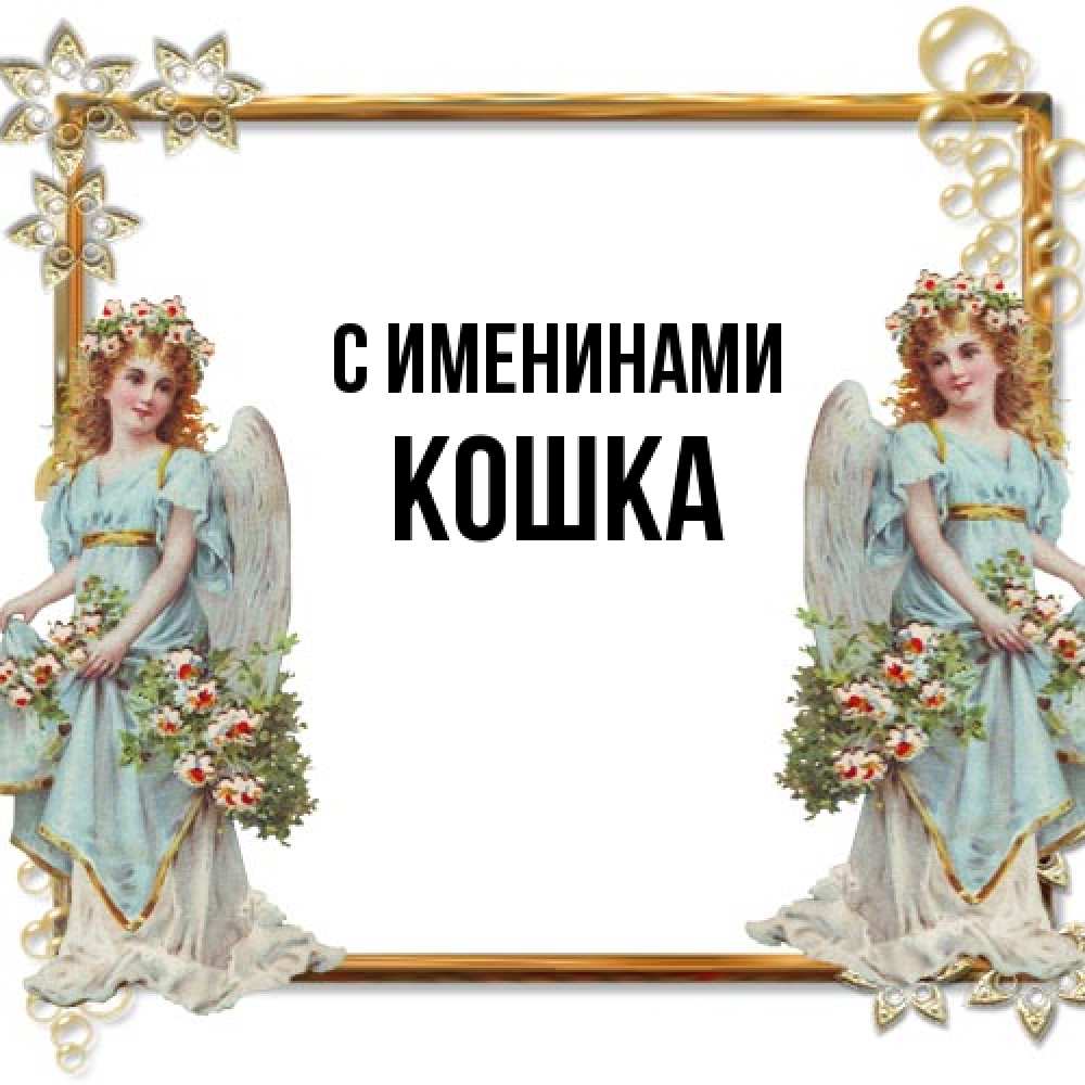 Открытка  с именем. Кошка, С именинами  