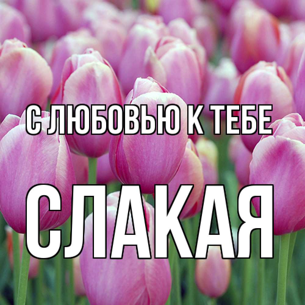 Открытка  с именем. Слакая, С любовью к тебе  