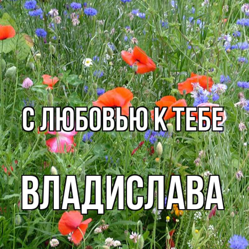 Картинка С любовью к тебе, Владислава