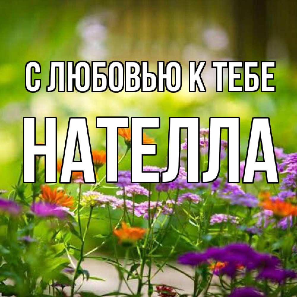 Открытка  с именем. Нателла, С любовью к тебе  