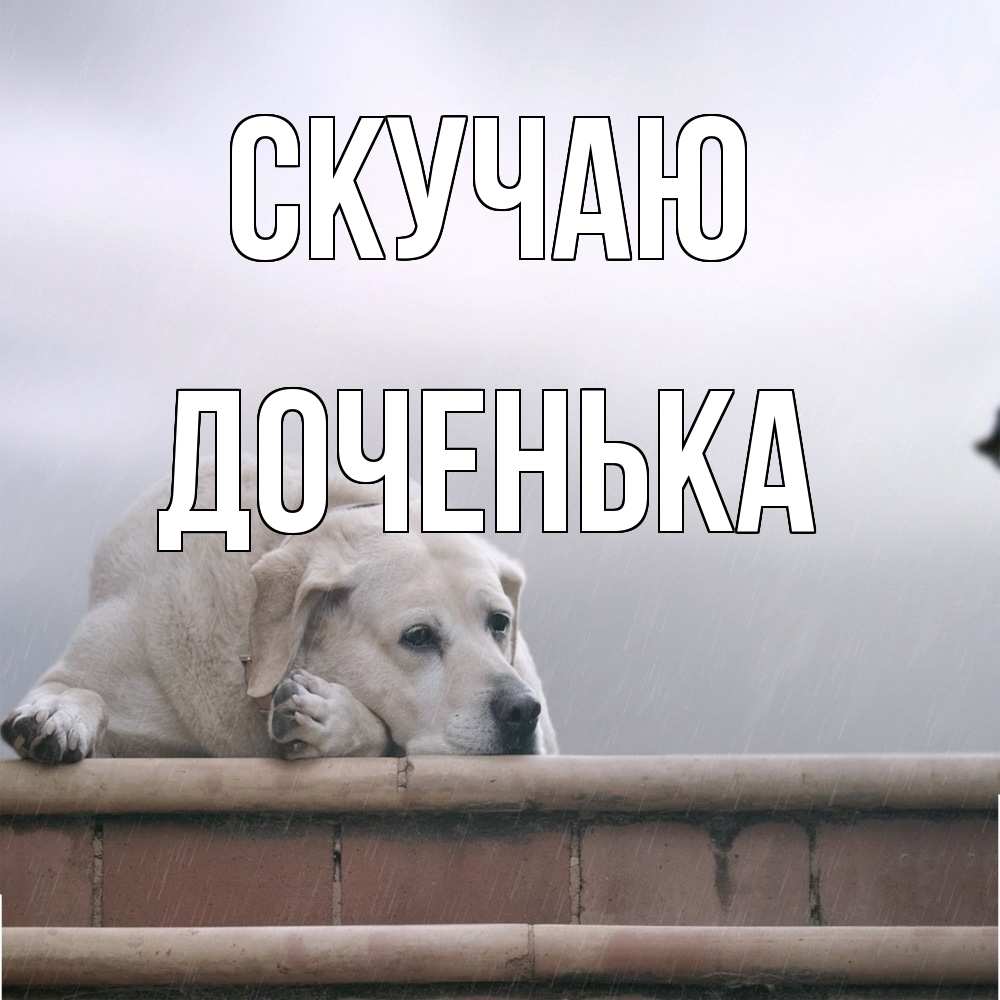 Открытка  с именем. доченька, Скучаю  