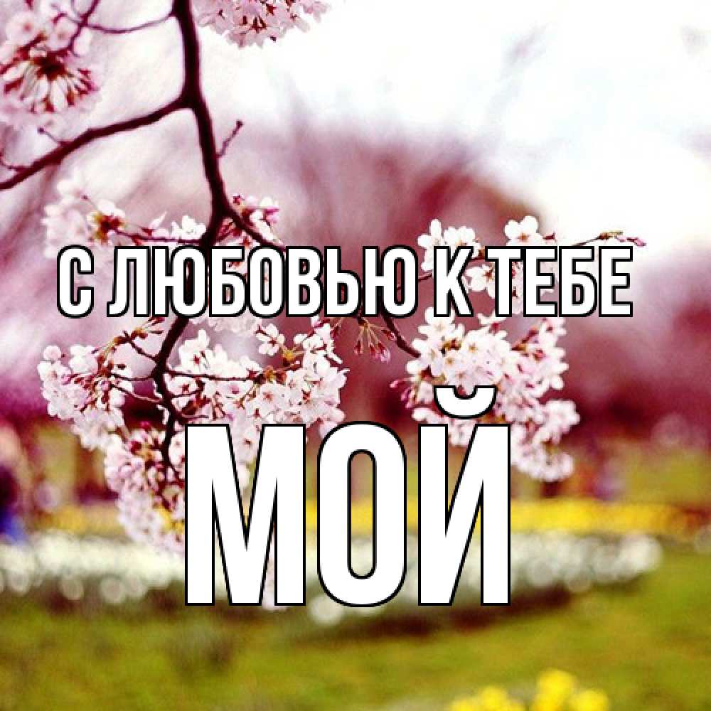 Открытка  с именем. Мой, С любовью к тебе  