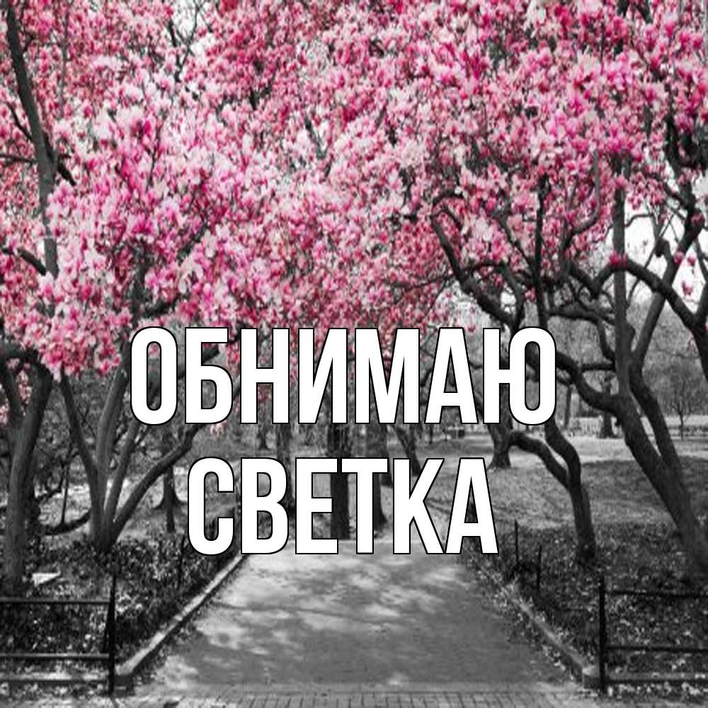 Открытка  с именем. Светка, Обнимаю  