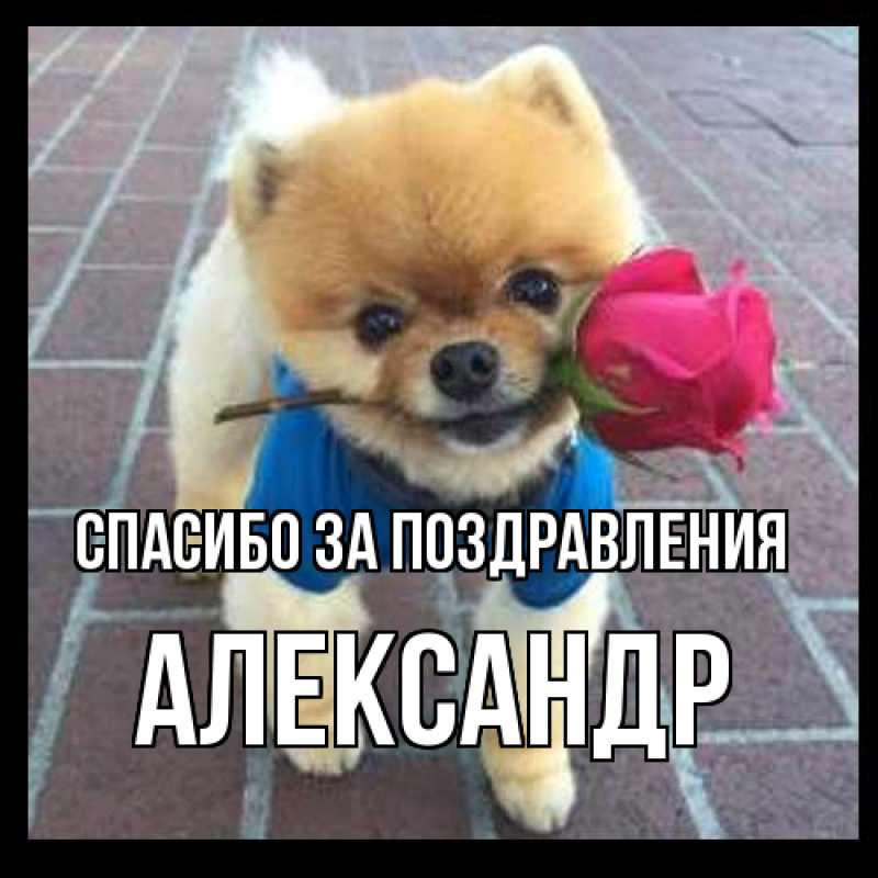 Картинка Спасибо за поздравления, александр