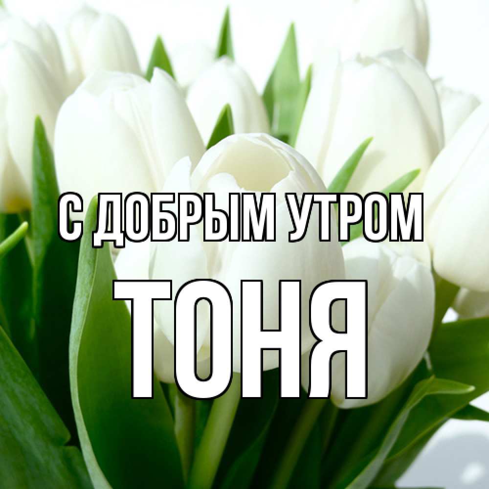 Открытка  с именем. Тоня, С добрым утром  