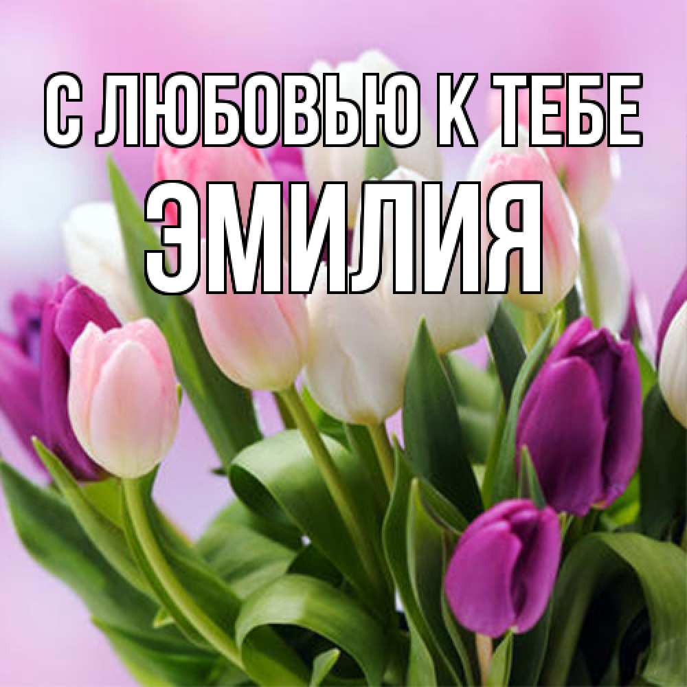 Открытка  с именем. Эмилия, С любовью к тебе  