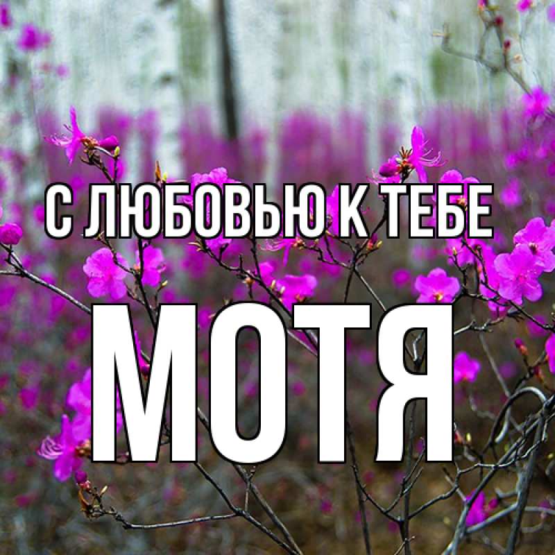 Картинка С любовью к тебе, Мотя