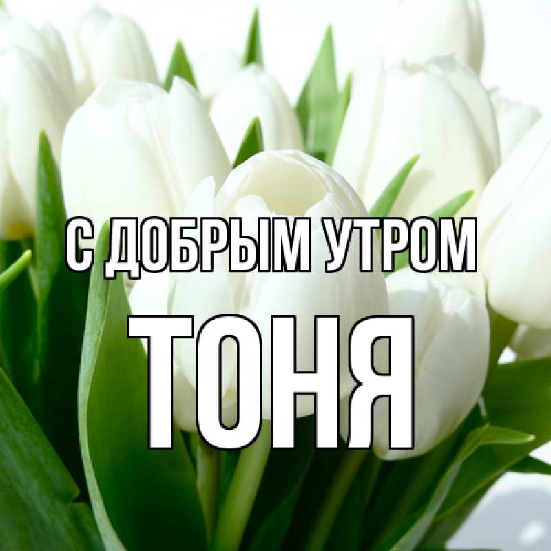 Картинка С добрым утром, Тоня