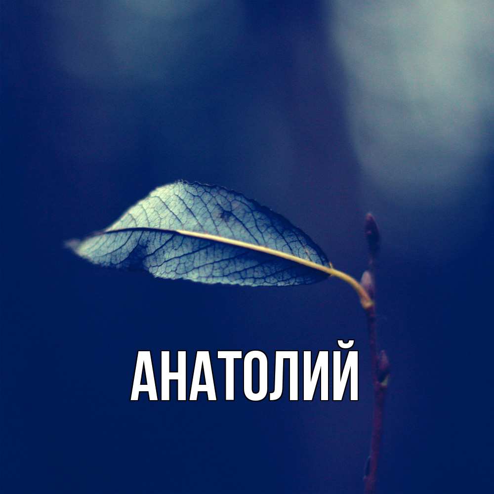 Открытка  с именем. Анатолий, Главная  