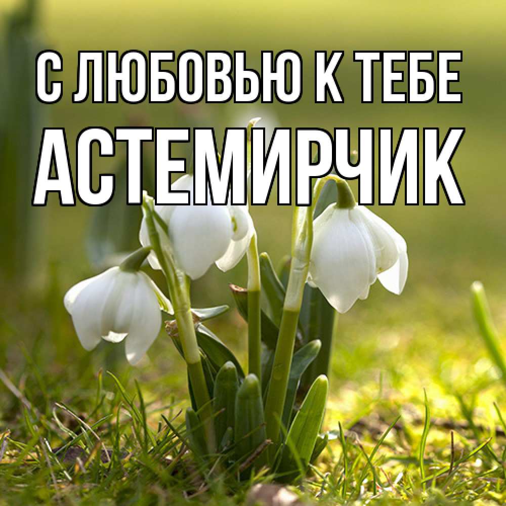 Открытка  с именем. Астемирчик, С любовью к тебе  