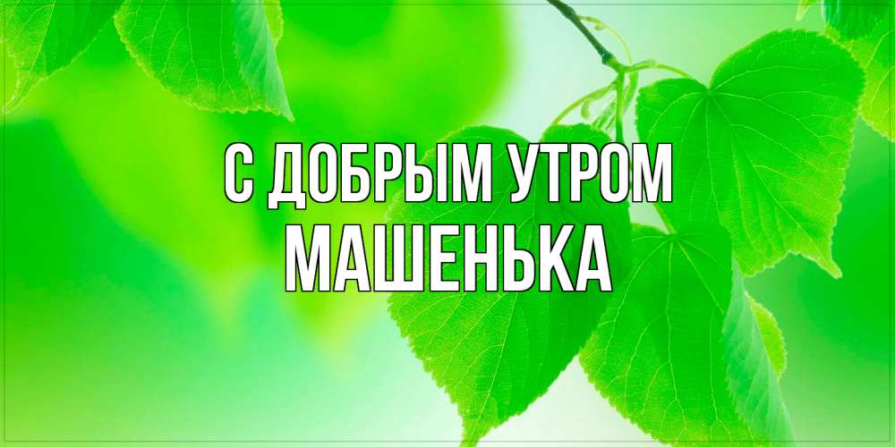 Открытка  с именем. Машенька, С добрым утром  