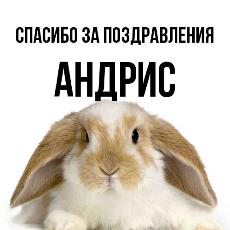 Картинка Спасибо за поздравления, Андрис
