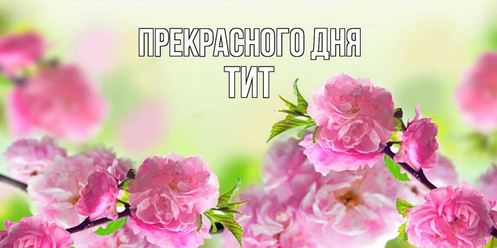 Открытка  с именем. Тит, Прекрасного дня  