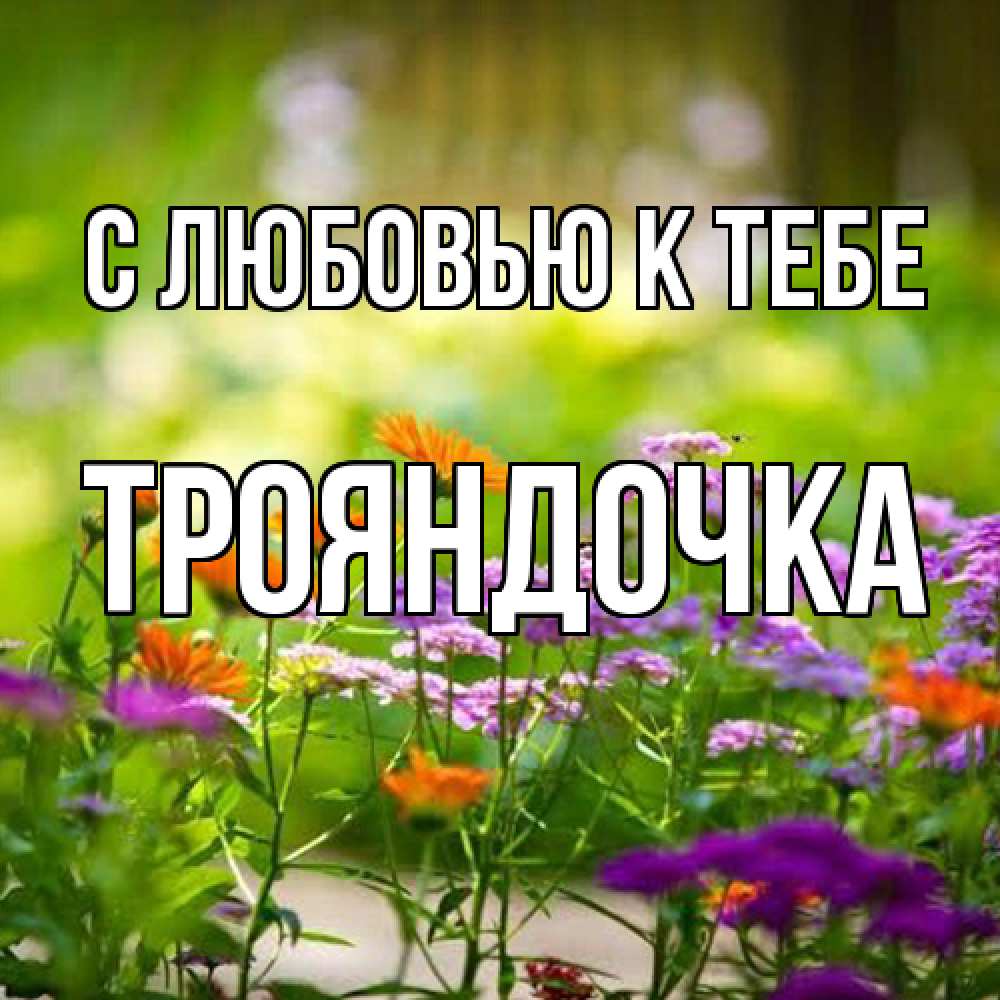 Открытка  с именем. Трояндочка, С любовью к тебе  