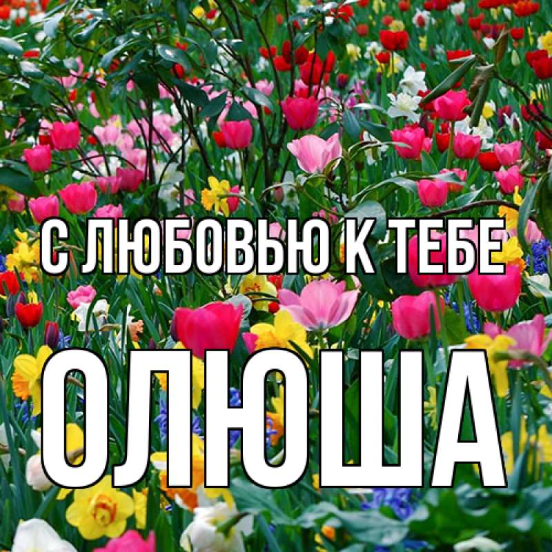 Картинка С любовью к тебе, Олюша