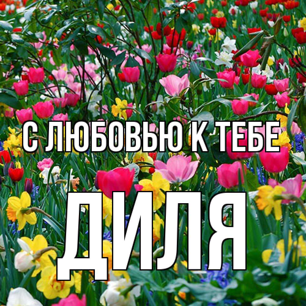 Открытка  с именем. Диля, С любовью к тебе  