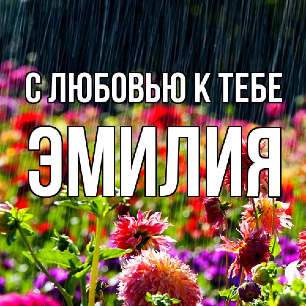 Открытка  с именем. Эмилия, С любовью к тебе  