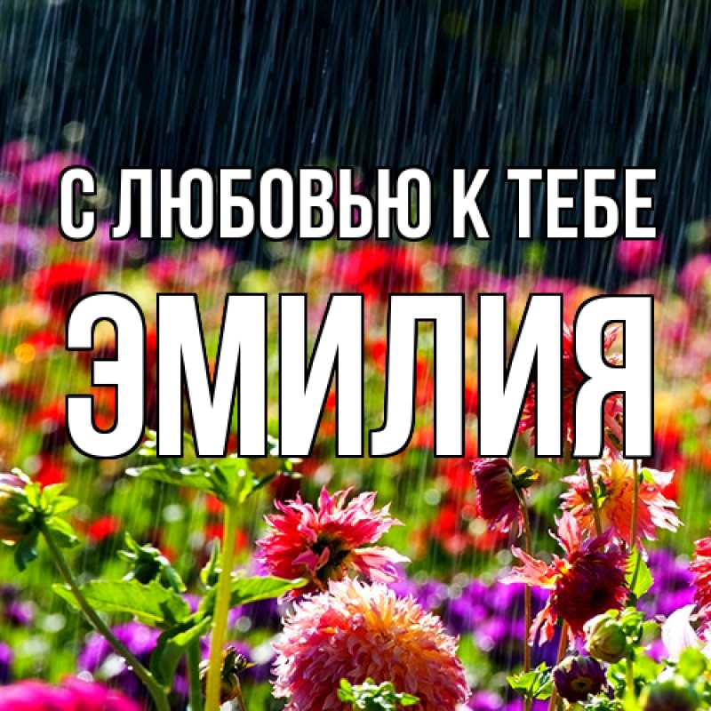 Картинка С любовью к тебе, Эмилия