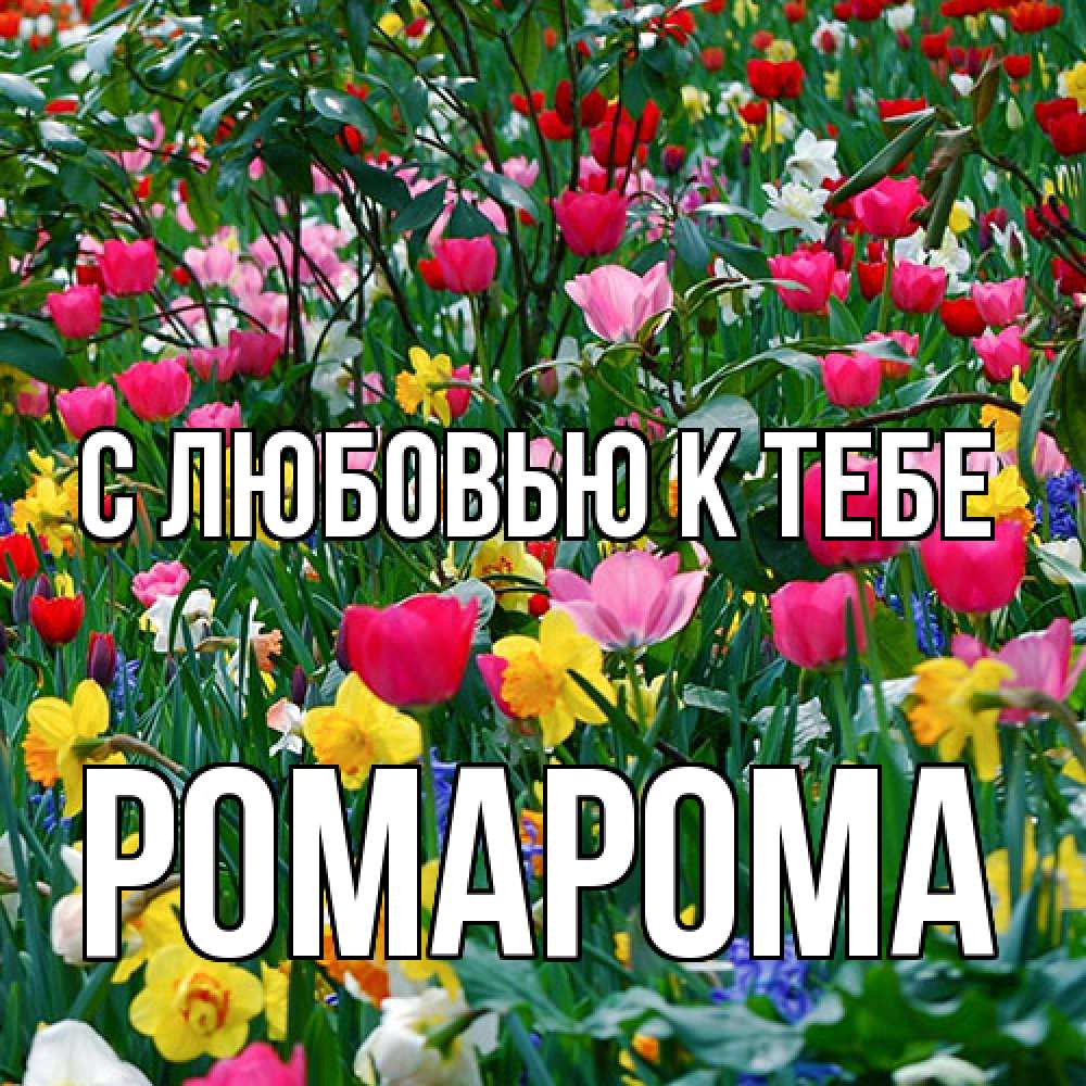Открытка  с именем. РомаРома, С любовью к тебе  