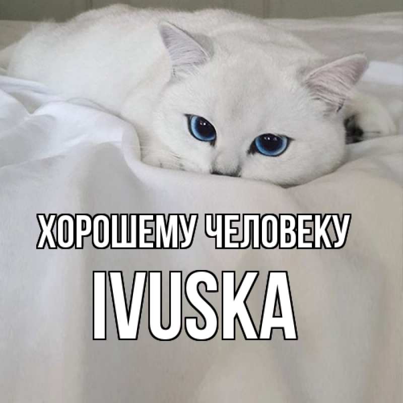 Картинка Хорошему человеку, IVUSKA