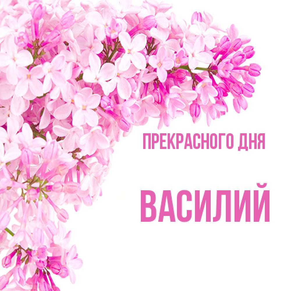 Открытка  с именем. Василий, Прекрасного дня  