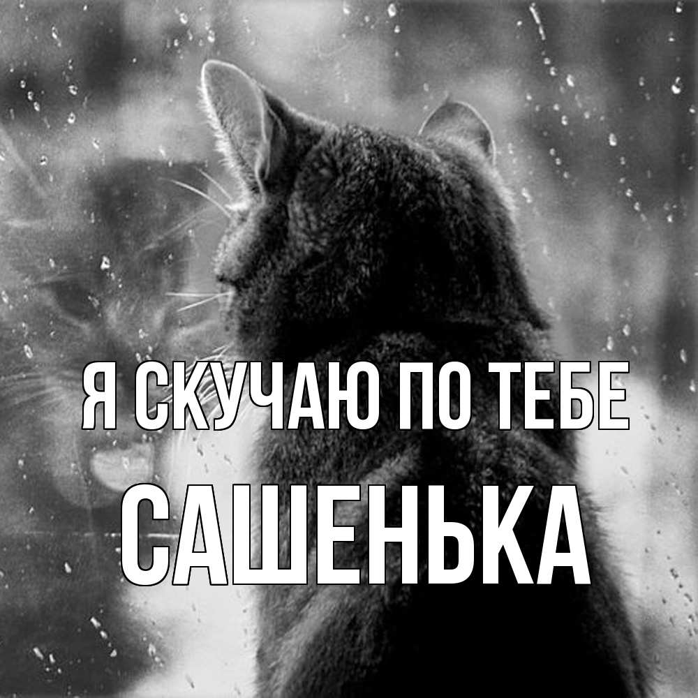 Открытка  с именем. Сашенька, Я скучаю по тебе  