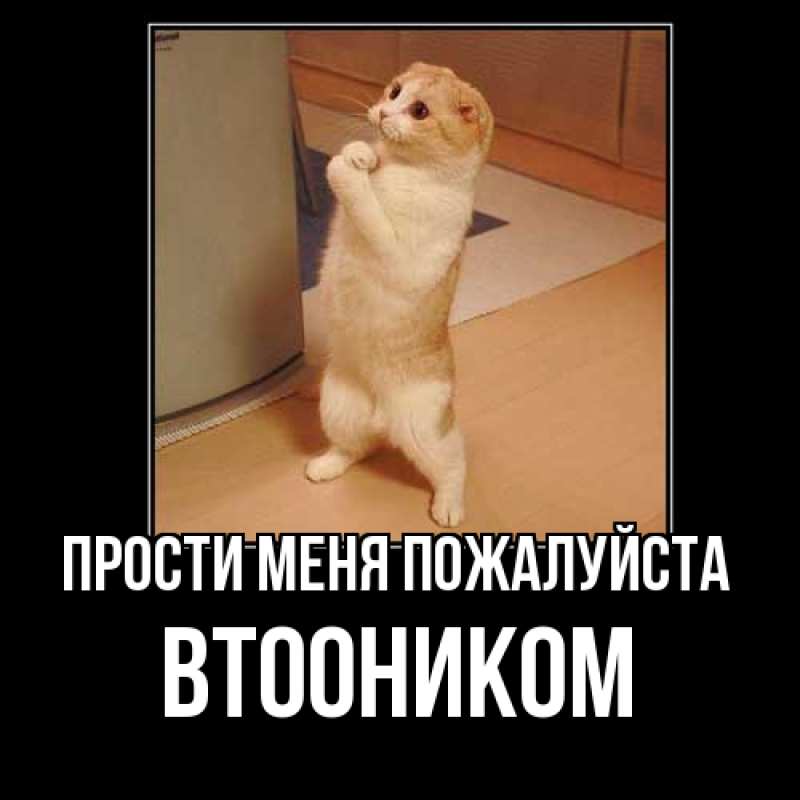 Картинка Прости меня пожалуйста, Втооником