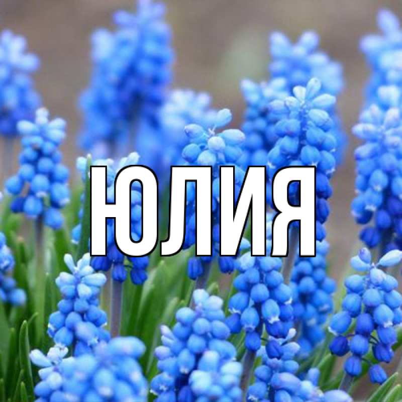 Картинка  с именем , Юлия