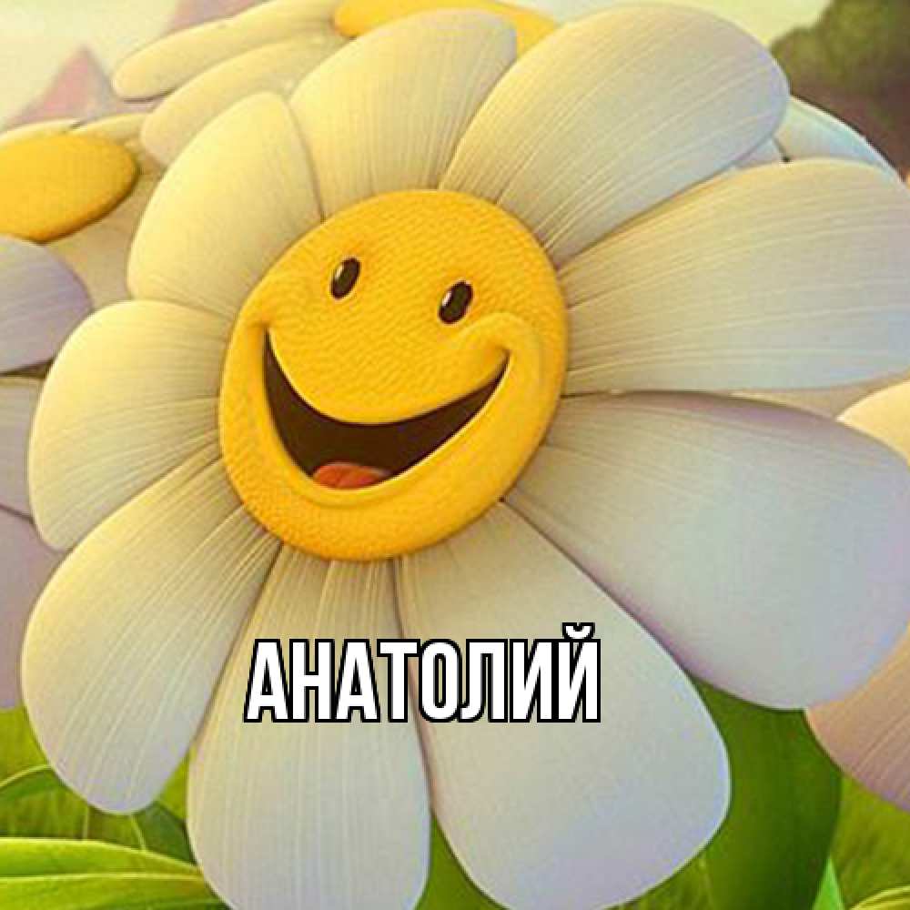 Открытка  с именем. Анатолий, Главная  