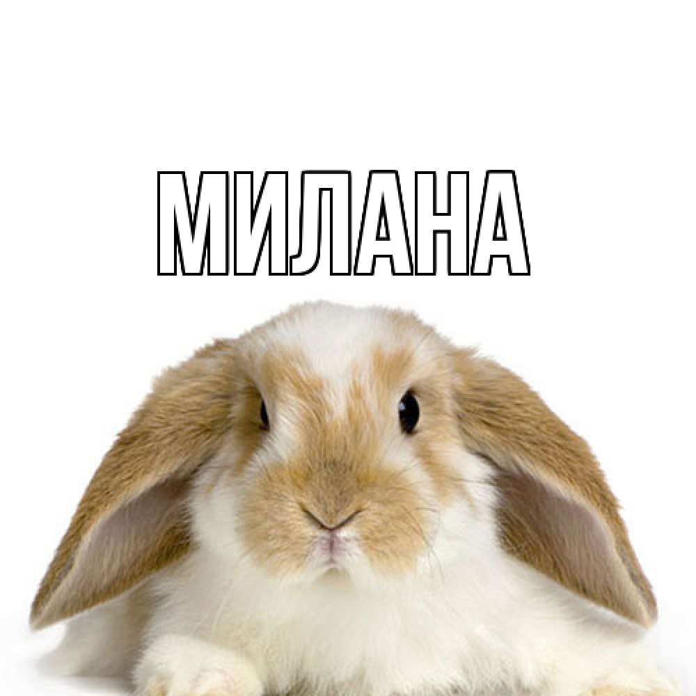 Открытка  с именем. Милана, Главная  