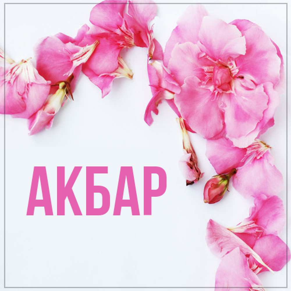 Открытка  с именем. Акбар, Главная  