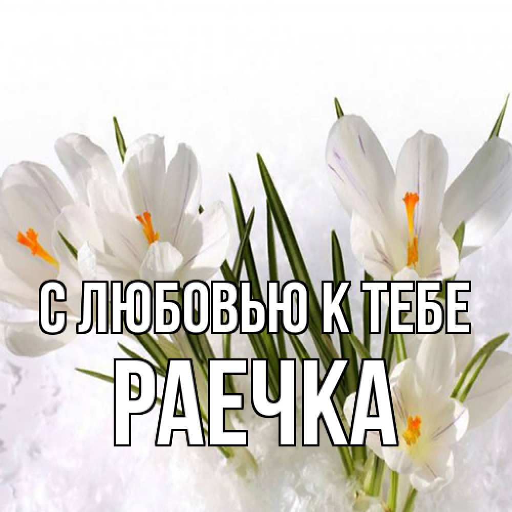 Открытка  с именем. Раечка, С любовью к тебе  