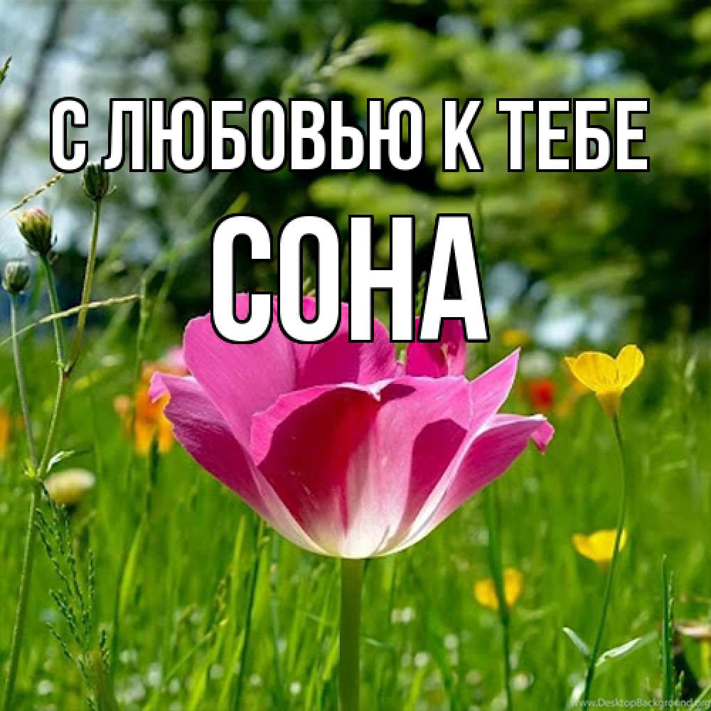 Открытка  с именем. СОНА, С любовью к тебе  