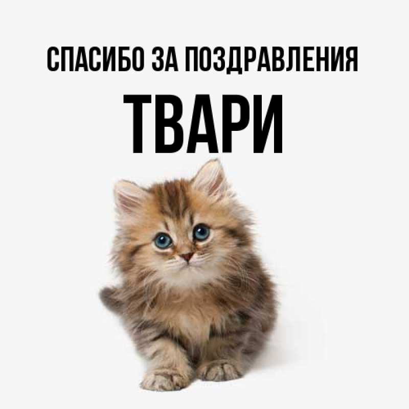 Картинка Спасибо за поздравления, твари