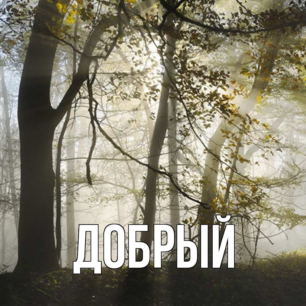 Открытка  с именем. Добрый, Главная  