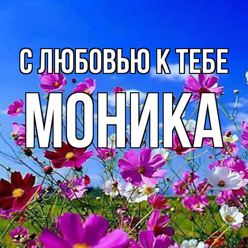 Открытка  с именем. Моника, С любовью к тебе  