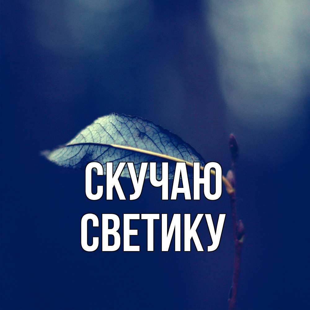 Открытка  с именем. Светику, Скучаю  